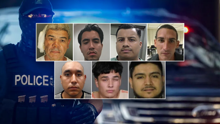 10 most violent criminal illegal immigrants arrested in 2025