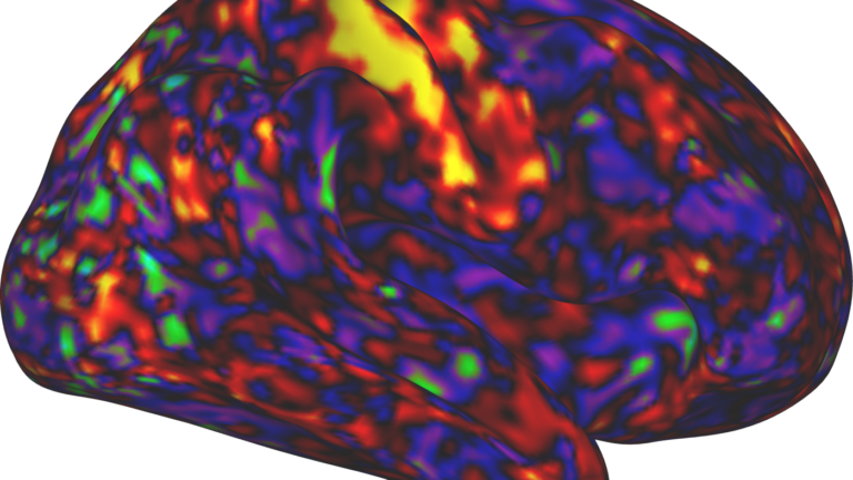 ADHD drugs may boost arousal more than attention : Shots