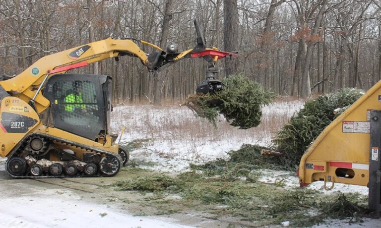 County residents have options in disposing of Christmas trees