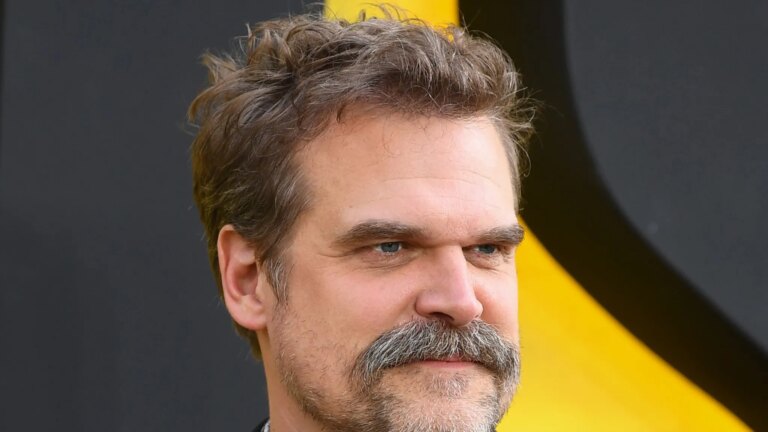 David Harbour Takes a Guy's Hat in Bizarre Bar Incident