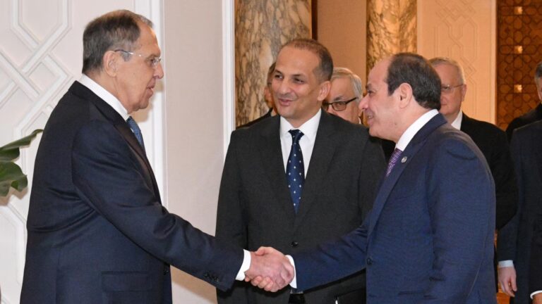 Egypt's el-Sissi urges UN Security Council reforms for Africa's larger role