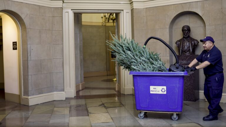 Experts say avoid these recycling mistakes with holiday waste : NPR