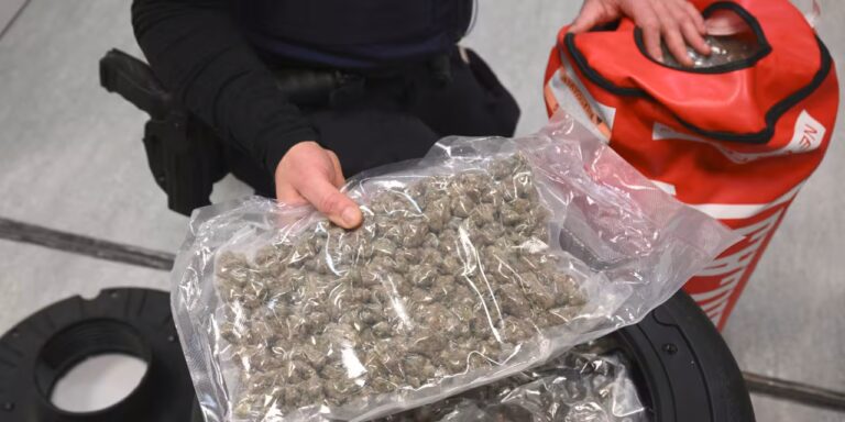 Marijuana stocks sell off as Trump signs executive order to reclassify cannabis