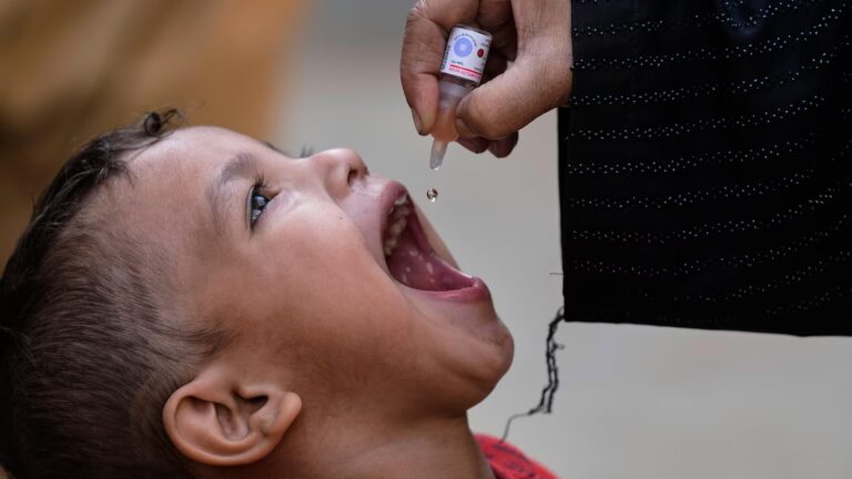 Pakistan's polio cases fell by half in 2025 despite attacks on vaccination teams