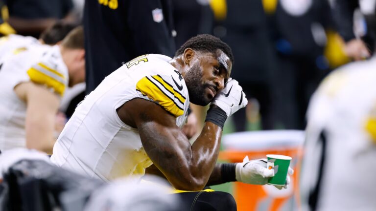Pittsburgh Steelers’ playoff fate tied to DK Metcalf’s two-game suspension and a Detroit Lions fan Pittsburgh Steelers' playoff fate tied to DK Metcalf's two-game suspension and a Detroit Lions fan