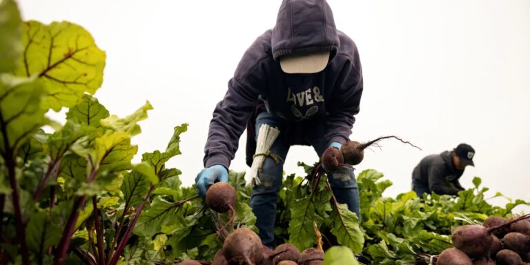 Rich countries must accept 6-day workweek or more immigration, top economist warns Rich countries must accept 6-day workweek or more immigration, top economist warns