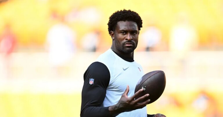 Steelers' DK Metcalf Has Altercation With Fan in Stands During Game