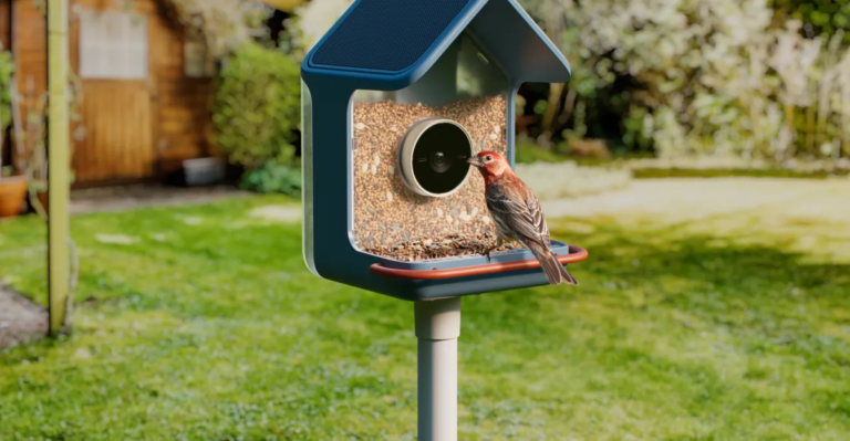 Birdbuddy’s new smart feeders aim to make spotting birds easier, even for beginners Birdbuddy’s new smart feeders aim to make spotting birds easier, even for beginners