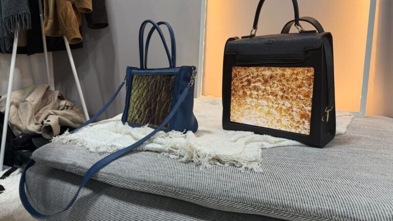 CES 2026: Would you spend $9K on this OLED smart purse?