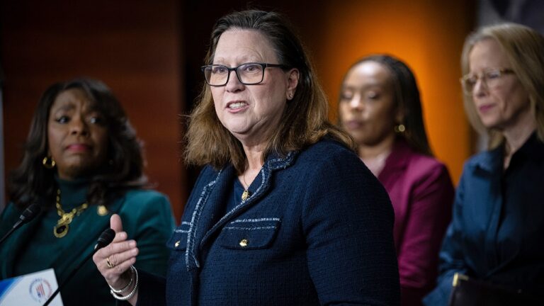 House Democrat expresses support for reining in DHS spending