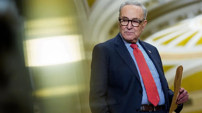 Schumer vows to restore DOGE funding cuts and go higher on federal funding levels