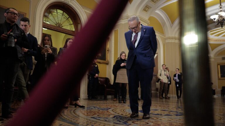 Senate fails to advance spending bills as Democrats push for DHS reforms : NPR