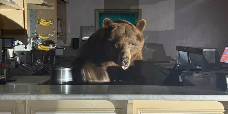 Stocks need to find their footing fast if investors hope to keep the bears away