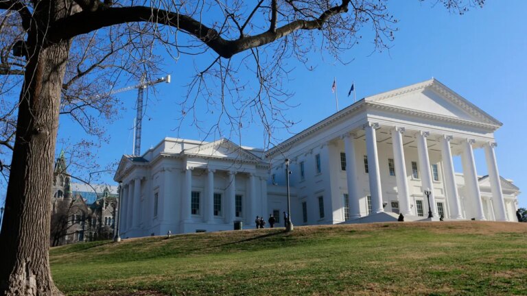 Virginia Senate approves constitutional amendment for redistricting