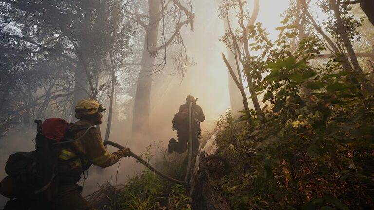 Argentina fires ravage pristine Patagonia forests, fueling criticism of Milei’s austerity Argentina fires ravage pristine Patagonia forests, fueling criticism of Milei's austerity