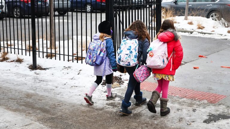 Campus Radical Newsletter: Teacher who lost job over 2-word post breaks silence, Chicago 'racial segregation'