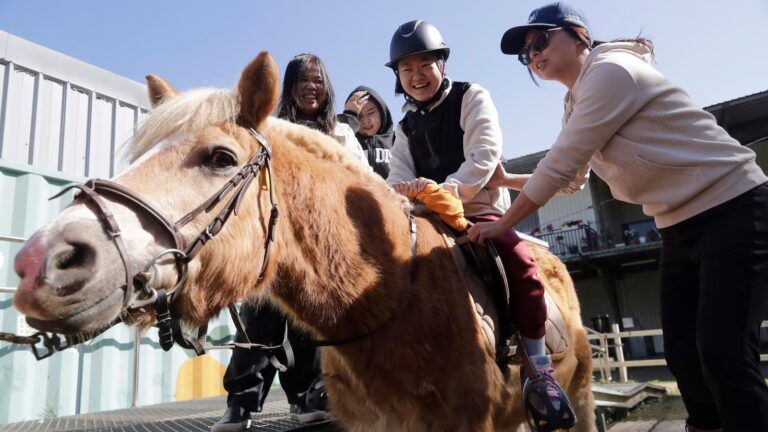 Children with disabilities find joy and support through horse therapy in Taiwan