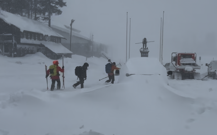 Eight skiers killed in California avalanche, one missing Eight skiers killed in California avalanche, one missing