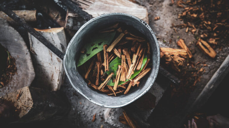 image of a small metal pot with lots of plant material in it, brewing over a small wood fire.