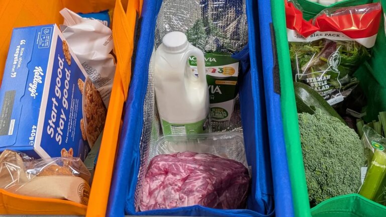 insulated grocery bags hanging shopping cart