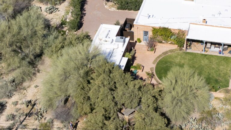 Nancy Guthrie; Ghislaine Maxwell; Super Bowl 60 : NPR