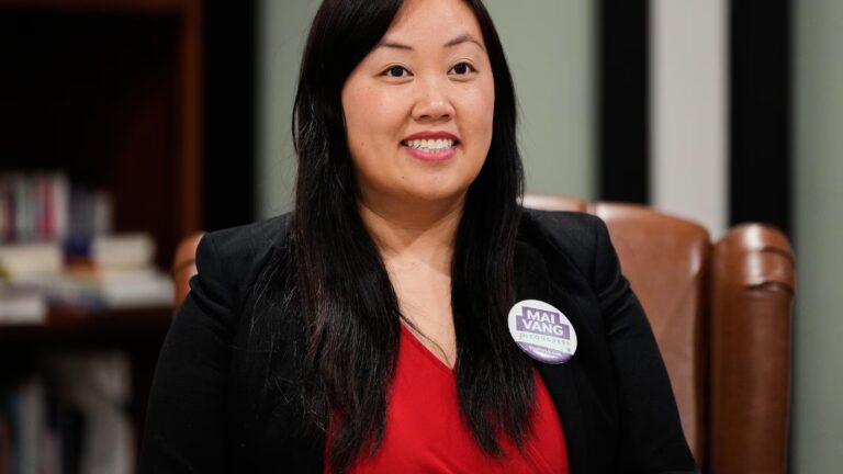 Out with the old? Young Democrats are trying to convince voters to send a new generation to Congress