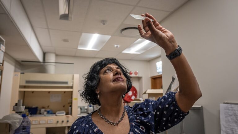 Searching for dinosaur secrets in crocodile bones : NPR