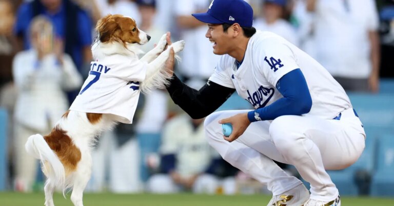 Shohei Ohtani’s Fan-Favorite Dog Decoy Gets a 28-Foot Tribute