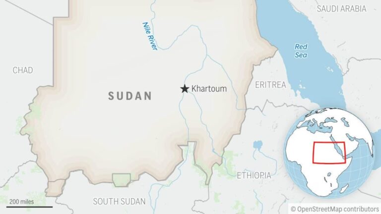 Strike on market in Sudan kills at least 28 people, rights group says Strike on market in Sudan kills at least 28 people, rights group says