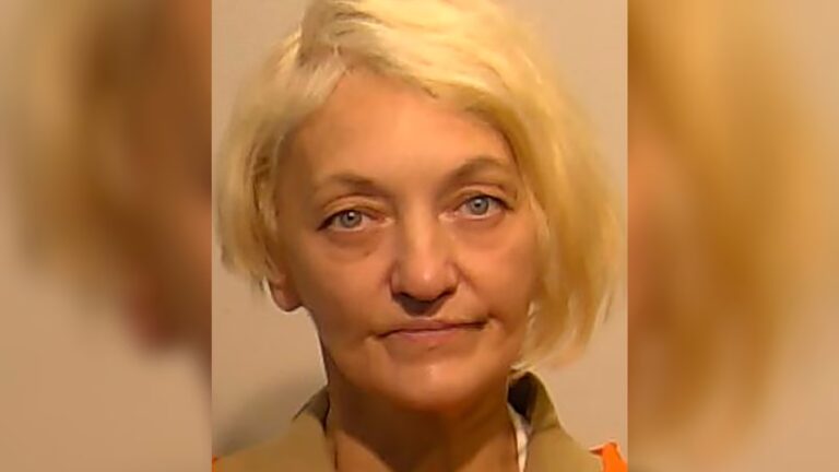Svetlana 'the stowaway' Dali allegedly snuck onto United flight at Newark airport: Sources