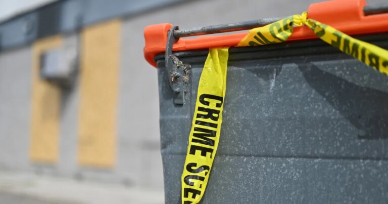 Teen Accused of Killing Adoptive Mom With Hammer, Stuffing Body in Trash