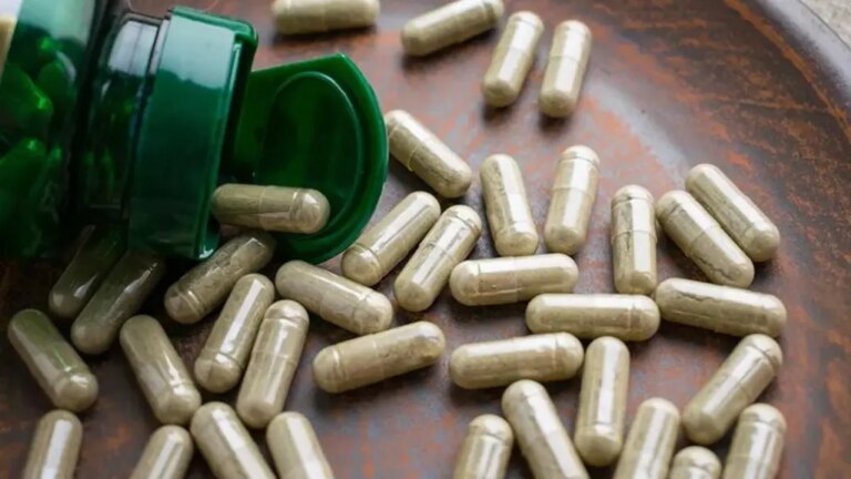 The best palmetto berry supplements for daily wellness support – Chicago Tribune