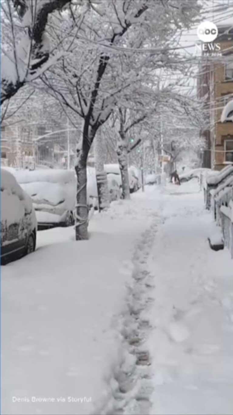 WATCH: Fresh snow blankets Northeast after blizzard stream logo