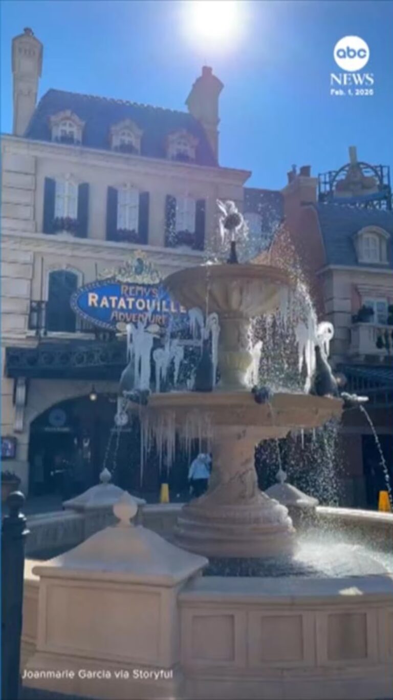 WATCH: Icicles form on fountain at Disney World in Florida stream logo