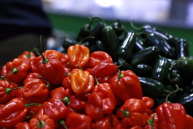 Wholesale prices rise sharply, pointing to persistent inflation — but there’s some good news