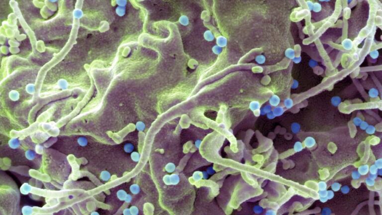A new one-a-day-pill holds promise for HIV's 'forgotten population'