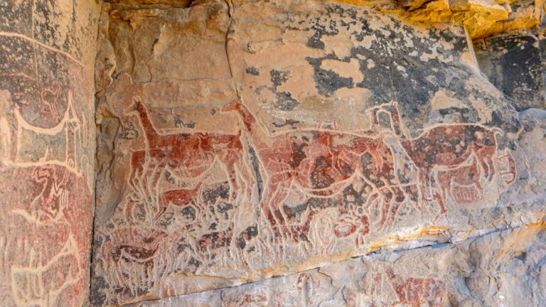 An ancient, sophisticated palate : NPR