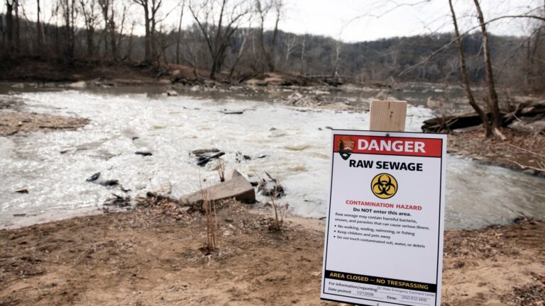 Class action lawsuit filed over Potomac sewage spill : NPR Class action lawsuit filed over Potomac sewage spill : NPR