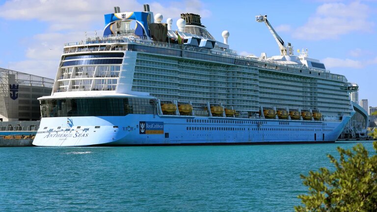 Cruise lines hit by rising fuel costs as Iran war drives oil prices up Cruise lines hit by rising fuel costs as Iran war drives oil prices up