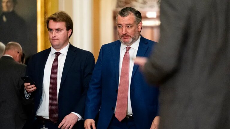 Cruz proposes splitting ICE from Homeland Security funding bill to end airport chaos Cruz proposes splitting ICE from Homeland Security funding bill to end airport chaos