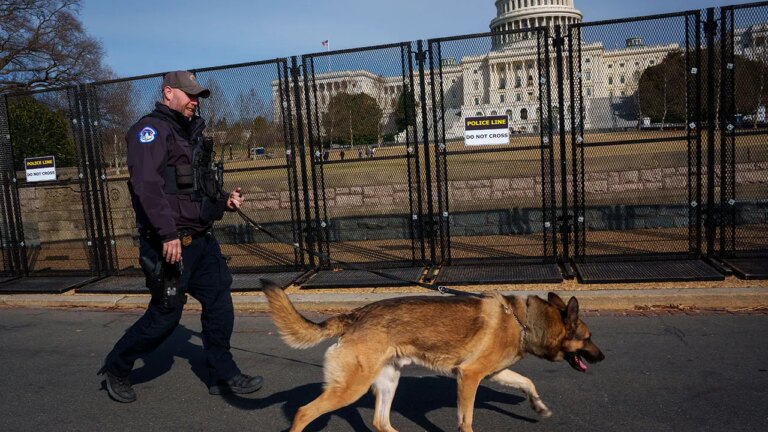House Democrats oppose Republican bill targeting attacks on police dogs