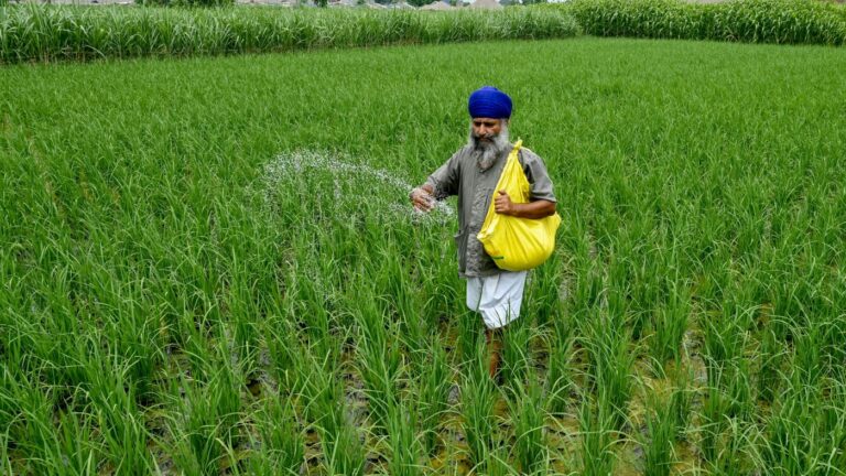 How the Iran war threatens global food supply : NPR How the Iran war threatens global food supply : NPR