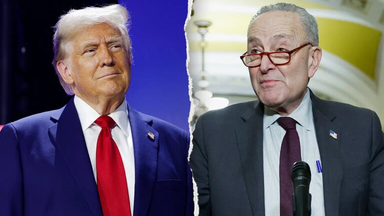 Schumer calls Trump's plan to deploy ICE agents to US airports 'impulsive'