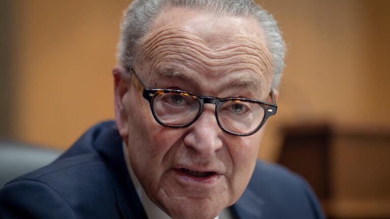Schumer had a plan to win back the Senate. But some Democrats aren't on board