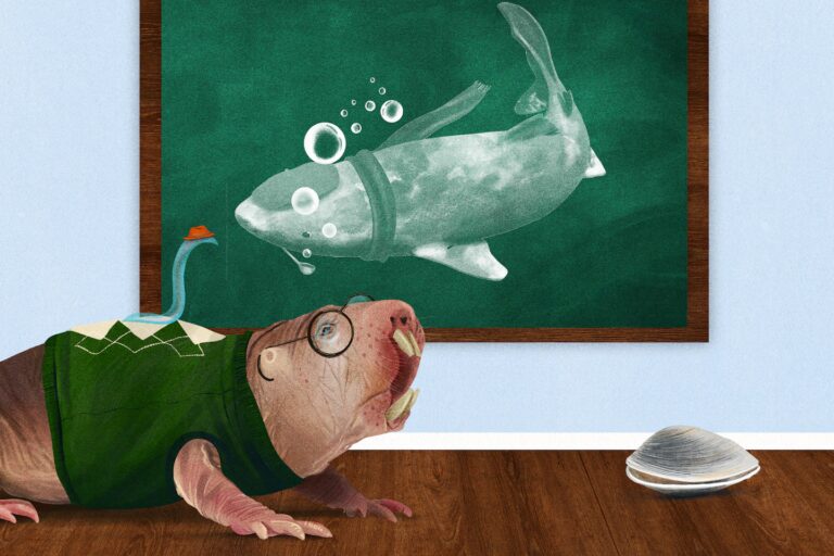 What Earth’s longest-lived animals can teach us about aging better