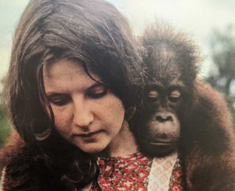 Biruté Galdikas, 79, has died. She made major discoveries about orangutans. Biruté Galdikas, 79, has died. She made major discoveries about orangutans.