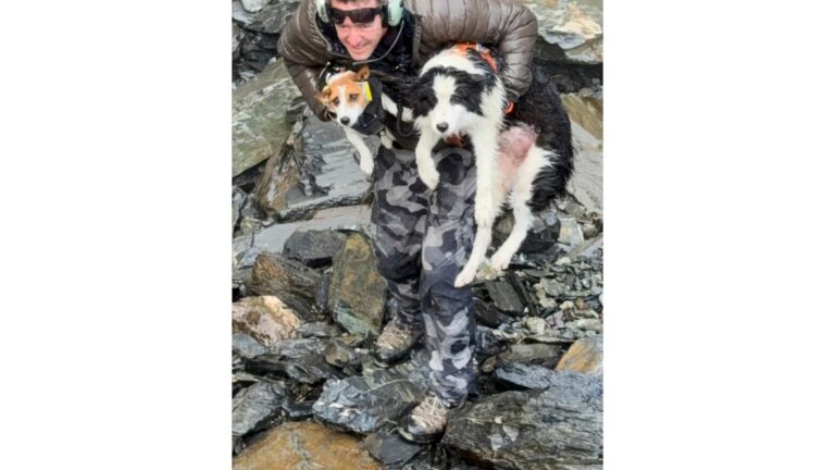 Hiker's dog lost in forest rescued by helicopter after strangers fund search