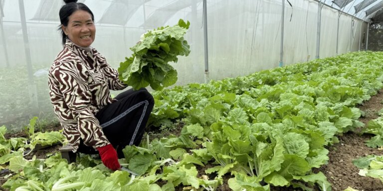 Macquarie bets impact investing can fill an Asian finance gap