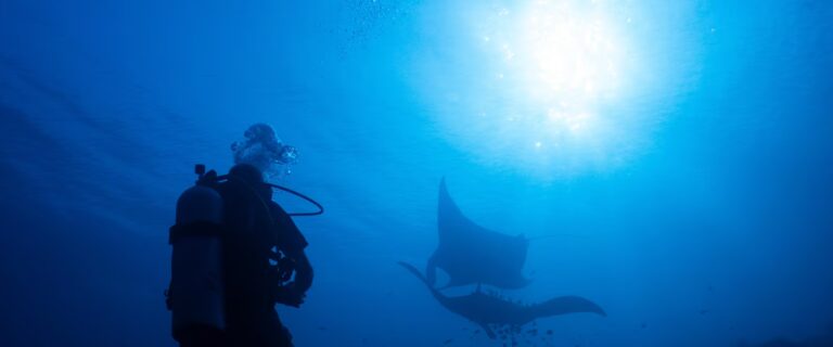 Ocean protections clash with mining pressure in Indonesia's diverse marine ecosystem