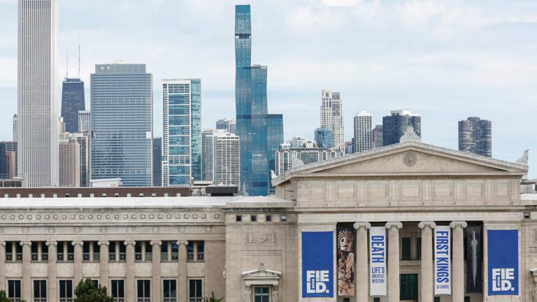 Scientists say the world's oldest octopus fossil isn't an octopus after all